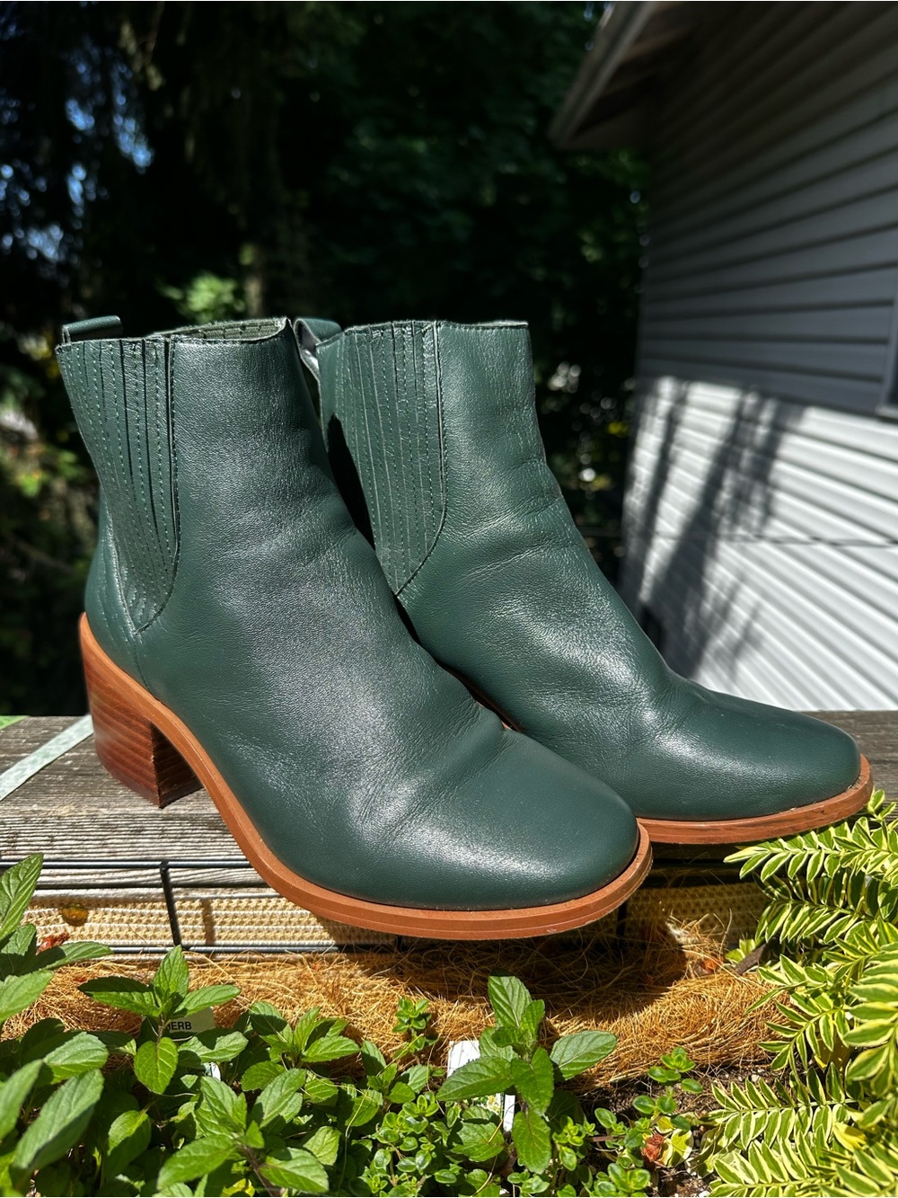 Splendid Dark Green Leather Ankle Booties with Wood-Tone Heel